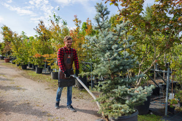 Best Tree Mulching  in Waverly, VA